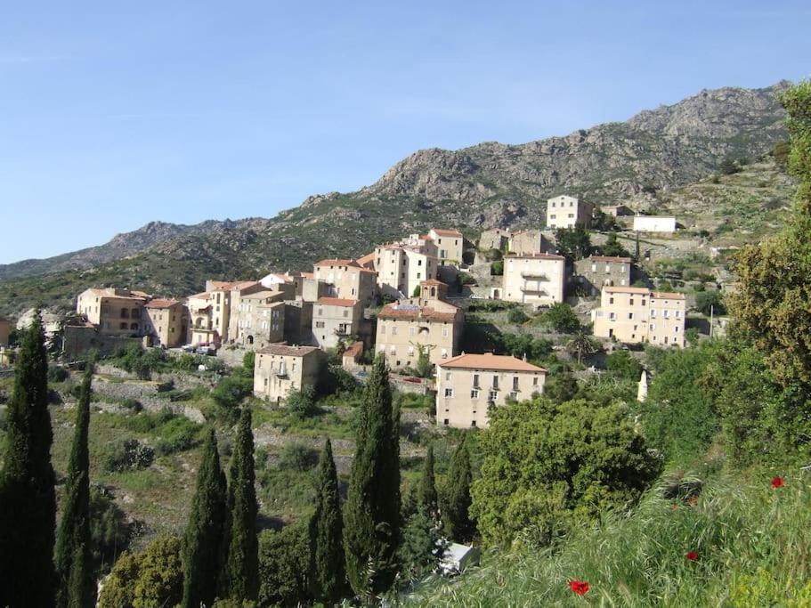 Vos Vacances A Lama France Corse Bagian luar foto