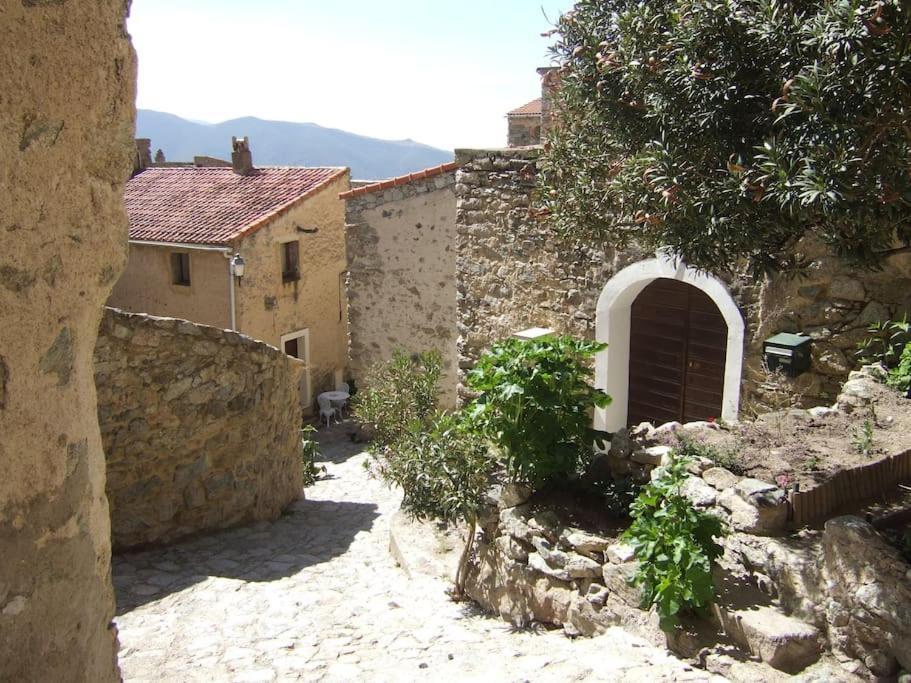 Vos Vacances A Lama France Corse Bagian luar foto