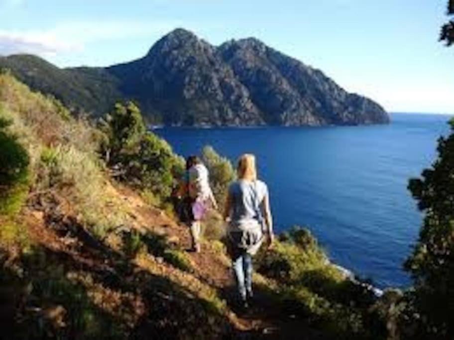 Vos Vacances A Lama France Corse Bagian luar foto