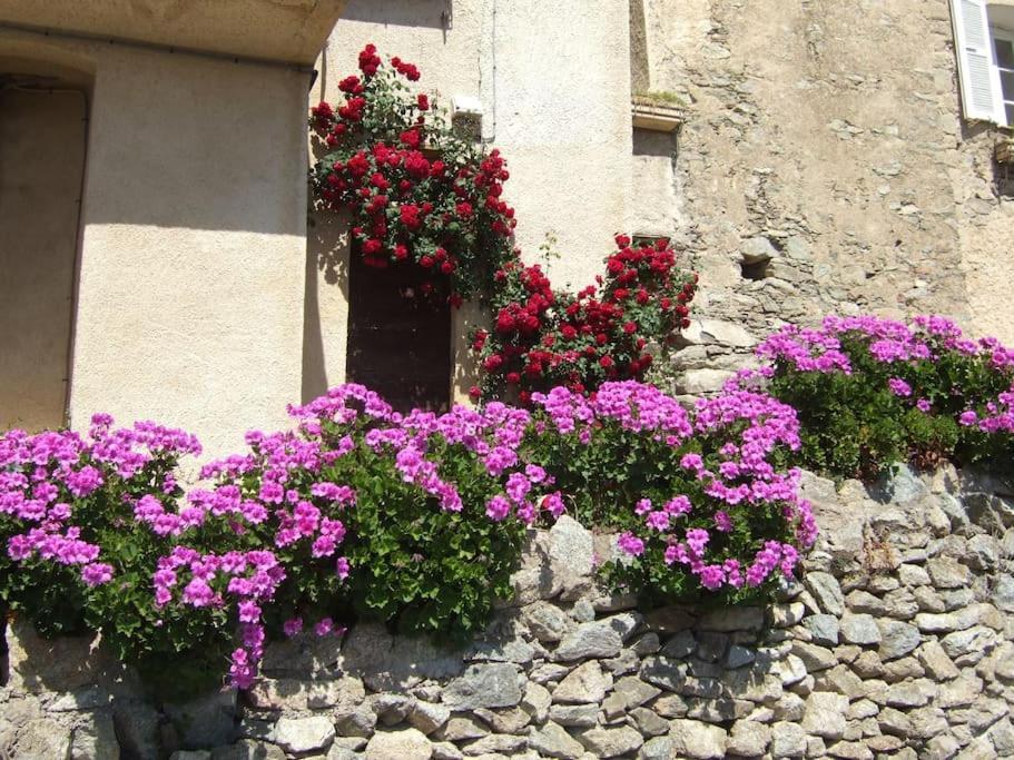 Vos Vacances A Lama France Corse Bagian luar foto