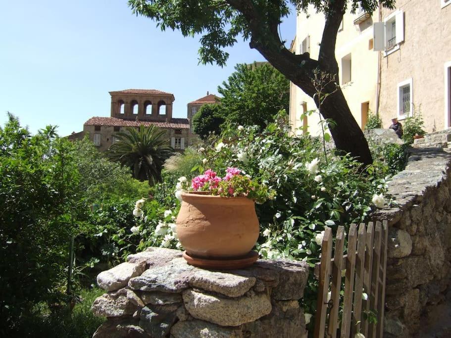 Vos Vacances A Lama France Corse Bagian luar foto