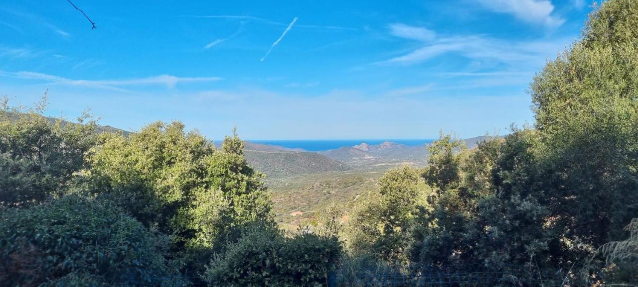 Vos Vacances A Lama France Corse Bagian luar foto